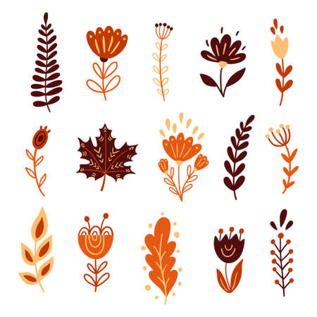 Autumn floral elements, flowers, leaves in doodle style.のイラスト素材