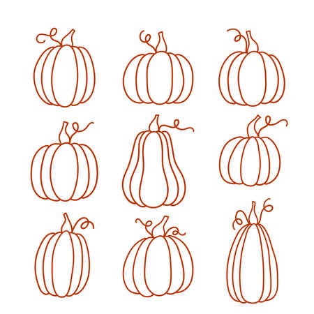 Set of outline pumpkins in various shapes.のイラスト素材