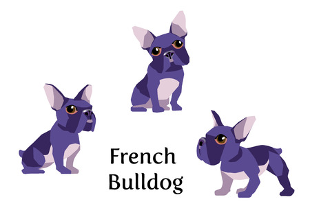 Vector illustration of french bulldog in different poses isolated on white background.のイラスト素材