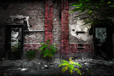 old doors in a desolate industrial buildingの写真素材