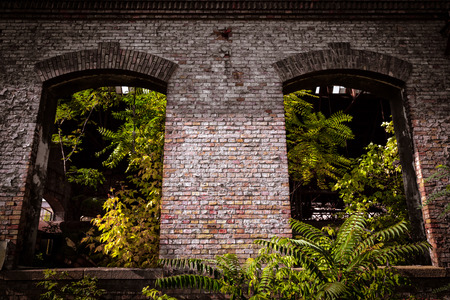 window frameworks on an old desolate industrial buildingの写真素材