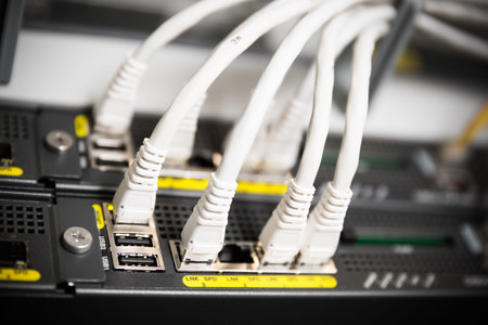 A Network switch and UTP ethernet cables