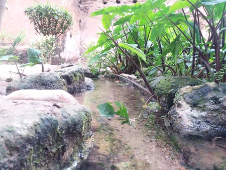 waterの写真素材