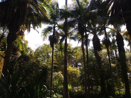 natureの写真素材