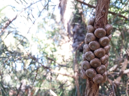 symmetryの写真素材