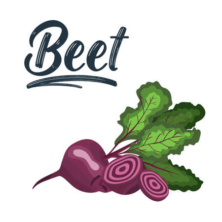 Ilustración de Ripe red beets with green leaves. Card, banner, sticker, poster, print. Vector illustration. - Imagen libre de derechos