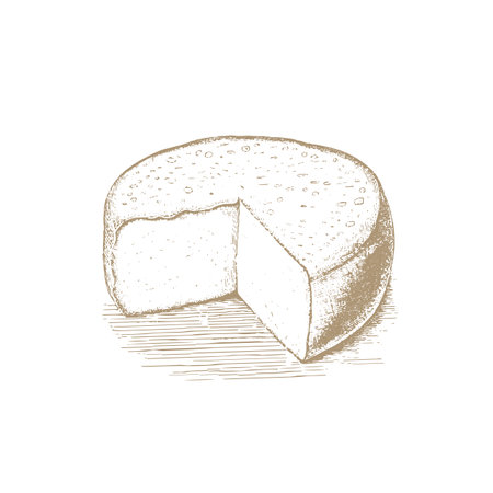 Gouda cheese wheel and piece. Ink sketch isolated on white background. Hand drawn vector illustration. Vintage style stroke drawing.のイラスト素材