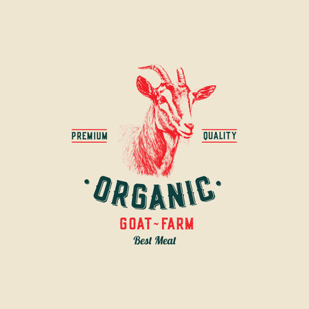 Fine Quality Organic Goat. Abstract Vector Meat Packaging Design or Label. Modern Typography and Hand Drawn Goat with Goatling Silhouettes. Rural Pasture Landscape Background Layout with Banner.のイラスト素材