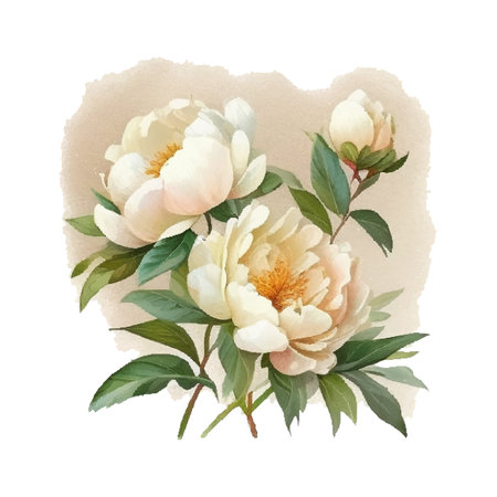 Hand drawn watercolor illustration of beautiful white Peony. Vector, Isolated on white background. Element for design of invitations, movie posters, fabrics and other objects.のイラスト素材