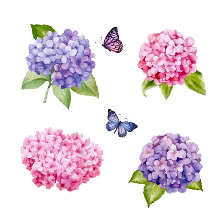 Watercolor style hydrangea flowers set. Glacier blue, violet lilac, purple colored. Vector illustration for simple, natural spring floral wedding design. All elements are isolated and editable.のイラスト素材