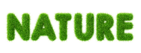 3d word nature of green grass letters. Render herb uppercase font. Fresh summer or spring text with plant texture. Eco type effect, floral organic elements, environment and ecologyの写真素材