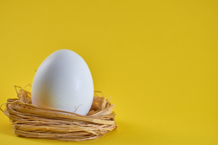 A white egg in a nest on a yellow background. Easter concept.の写真素材