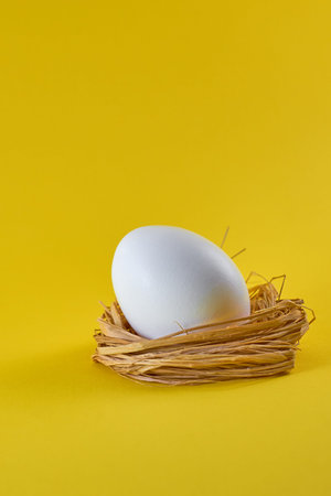 White egg in the nest on a bright yellow background. Photo for a postcard for Easter.