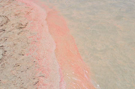 A strip of pink sand on the seashore in Greece.の写真素材