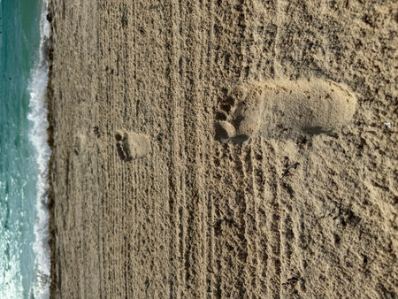 Footprints in the sand that lead to the sea.の写真素材