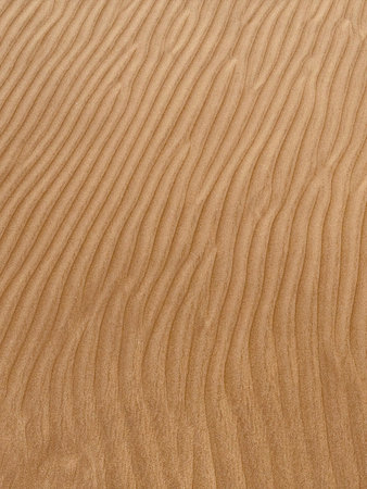 Shiny sand in the desert close-up as background. High quality photoの写真素材
