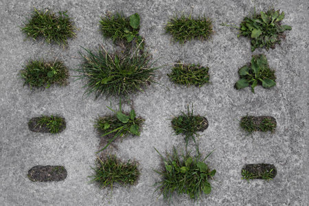 A concrete slab with grassの写真素材