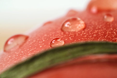 Some water droplets on a red tomatoの写真素材