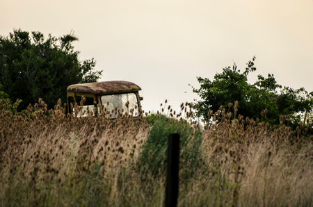 Old tractor の写真素材
