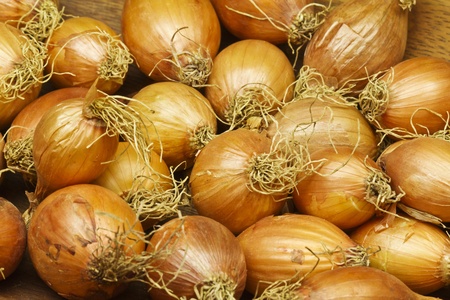 Collection of onions in macro detailの写真素材