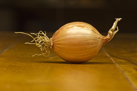 Collection of onions in macro detailの写真素材