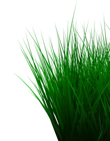 Green color grass illustration isolated on whiteの写真素材