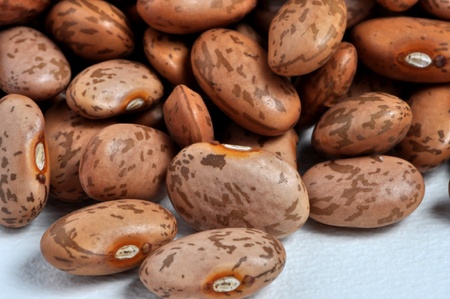 A closeup photo of a pile of pinto beans.の写真素材