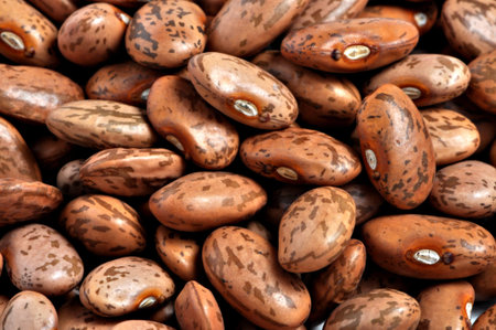 A closeup photo of a pile of pinto beans.の写真素材