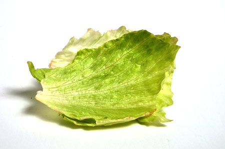 A couple of lettice leaves are laying on a white background.の写真素材