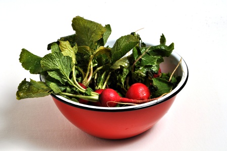 A bunch of radishes sits in a red bowl on a plain background.の写真素材