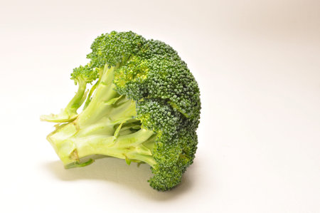 Stalk of raw broccoli on a plain background.