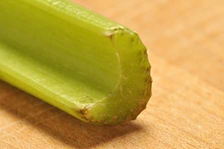 A closeup view of a old cut celery stalkの写真素材