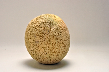 A whole cantaloupe sits on a white background の写真素材
