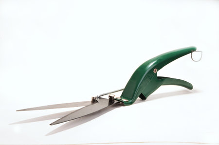 A pair of new green  grass shears sits on a plain white background.