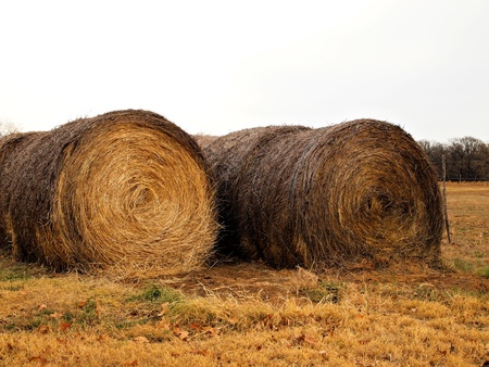 Hay bales are stored and ready for use.の写真素材