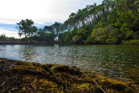 lakeの写真素材