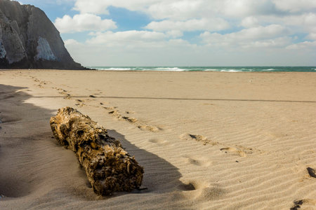 Beach in Portugalの写真素材