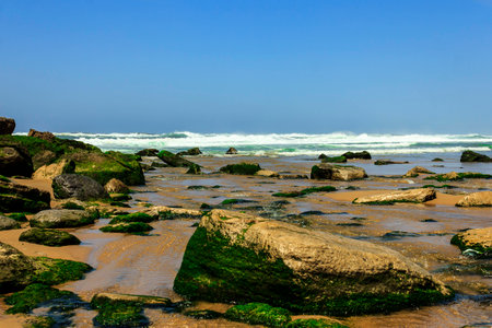 beachの写真素材