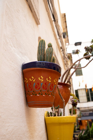 Decorative pot with cactus on the wall. Traditional ceramics and plants on the streets of Menorca, Spainの写真素材