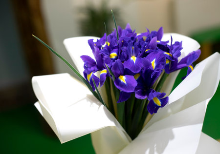 Beautiful bouquet of fiolet iris flowers in a white package. Background pattern with flowersの写真素材