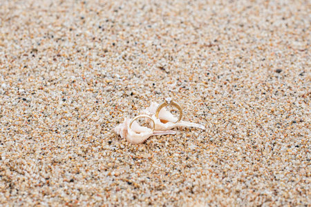 Delicate composition, rings, shell and sand. Top view of wedding rings
