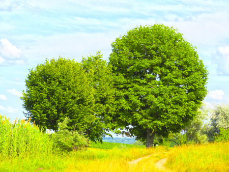 Hazel. HDR.の写真素材