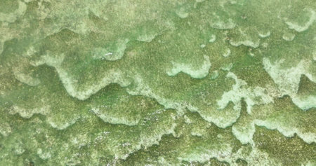 Aerial view of ocean floor with coral reefs. Turquoise lagoon surface on atoll copy space for text. Siquijor, Philippines.の写真素材
