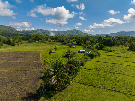 Agricultural land and mountains with green forest. Mindanao, Philippines.の写真素材