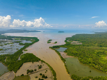 Aerial view of Fish Farm and river going to sea surface. Mindanao, Philippines.