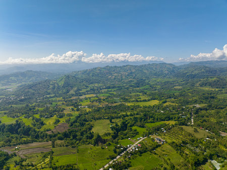 Mountain slopes with rainforest and agricultural land of farmers. Blue sky and clouds. Mindanao, Philippines.の写真素材