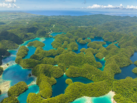 Beautiful group of lagoon in Sohoton Cove. Mindanao, Philippines.の写真素材