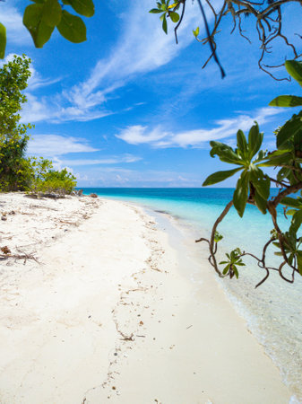 White sand beach with ocean waves. Mantigue Island. Camiguin, Philippines.の写真素材