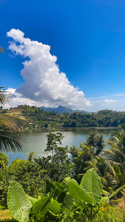 Lake with greenish water surrounded by plants. Lake Sebu. Mindanao, Philippines.