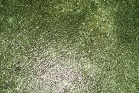 Sunlight over the clear greenish sea water, seascape. Bantayan, Cebu, Philippines.の写真素材